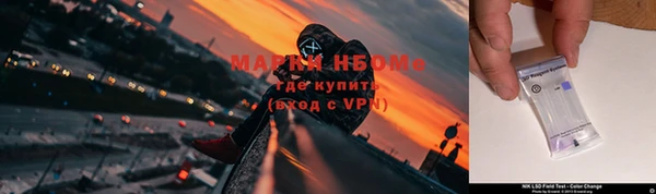 хмурый Богородск