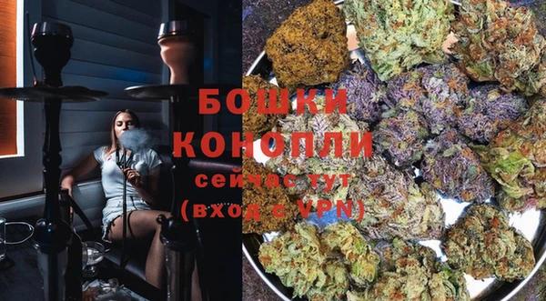 хмурый Богородск