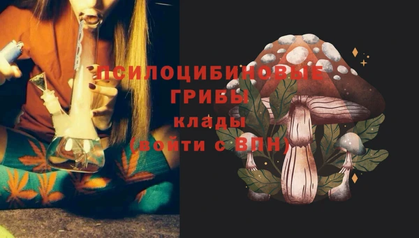 a pvp Богородицк